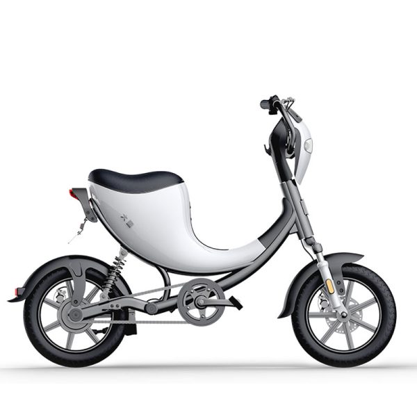 L1 Vélo électrique – Image 3