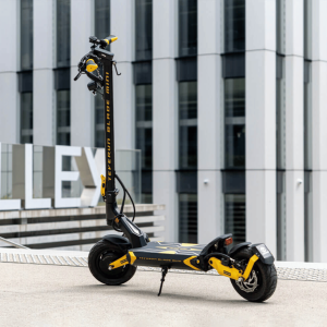 TEVERUN Blade Mini PRO Trottinette électrique