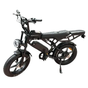 V20 Pro Europe Vélo Électrique