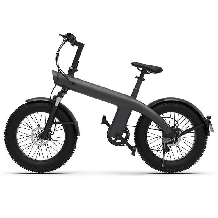 HX Q3 Vélo Électrique Fat Bike 750W, 45 km/h, Pneus 20" x 4.0 – Image 7