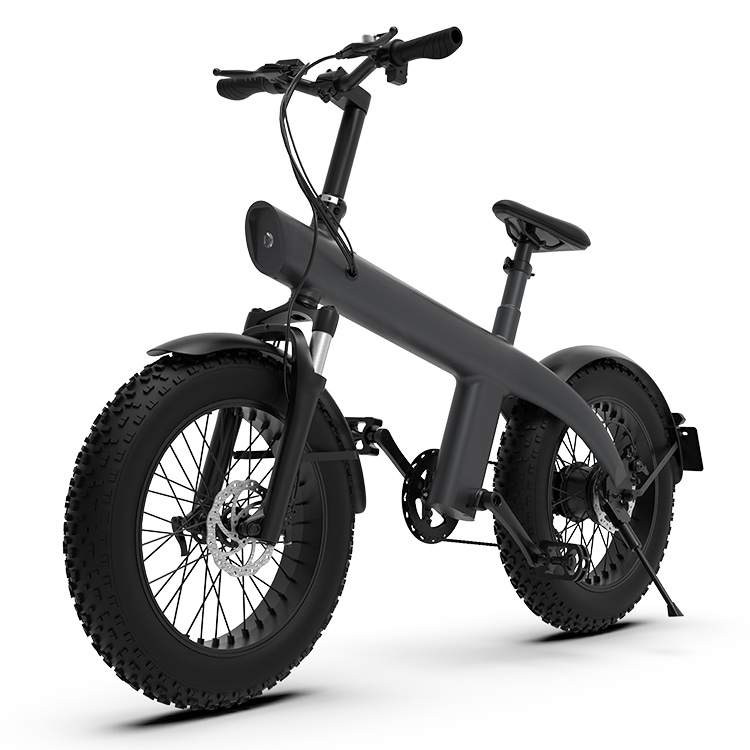 HX Q3 Vélo Électrique Fat Bike 750W, 45 km/h, Pneus 20" x 4.0 – Image 2
