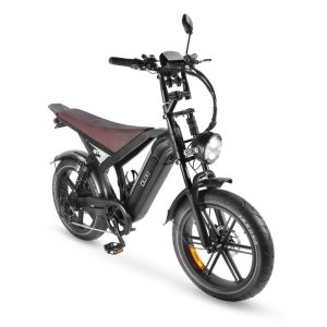 OUXI GT20 – Vélo Électrique Fat Bike 1000W