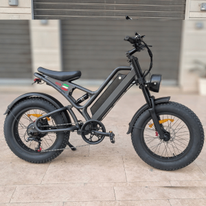 Vélo Électrique X20 PRO 1000W |Freins Hydrauliques & Pneus Fat Tire