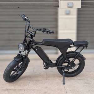 EVOSCOOT V8 | Vélo Électrique 750W, Vitesse 45 km/h, Batterie 48V 15Ah, Autonomie 40-50 km