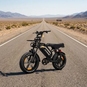 NXRIDE V20 LIMITED Vélo Électrique Moteur 1000W, Batterie 48V 18Ah, Roues Fat Tire 20 Pouces, Cadre en Acier